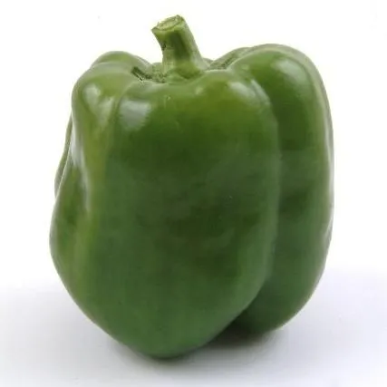 thumbnail for publication: An Overview of the US Bell Pepper Industry